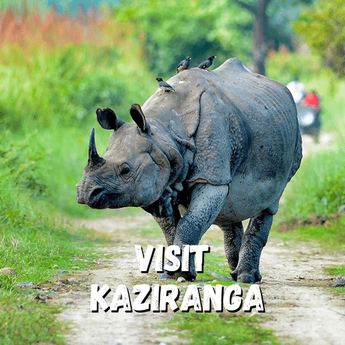 Kaziranga - UNESSCO World Heritage Site