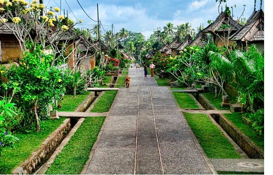 Balinese Village