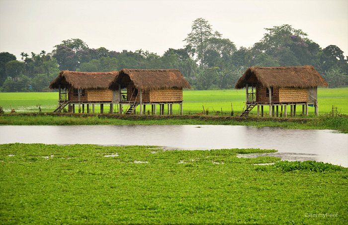 Majuli River Island