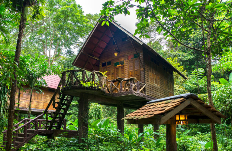 Tree House Stay