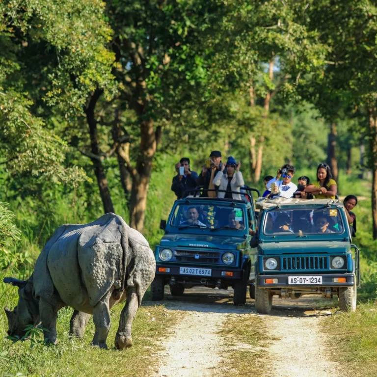 kaziranga jeep safari