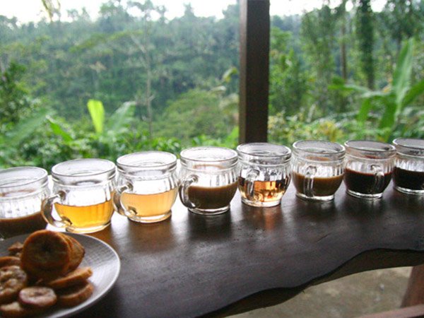Coffee Tasting