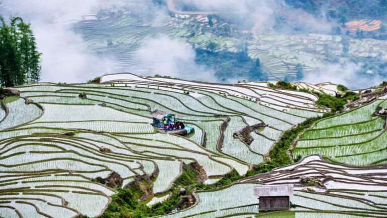 SAPA Hike