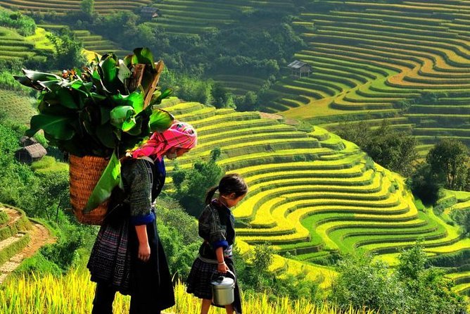 Sapa