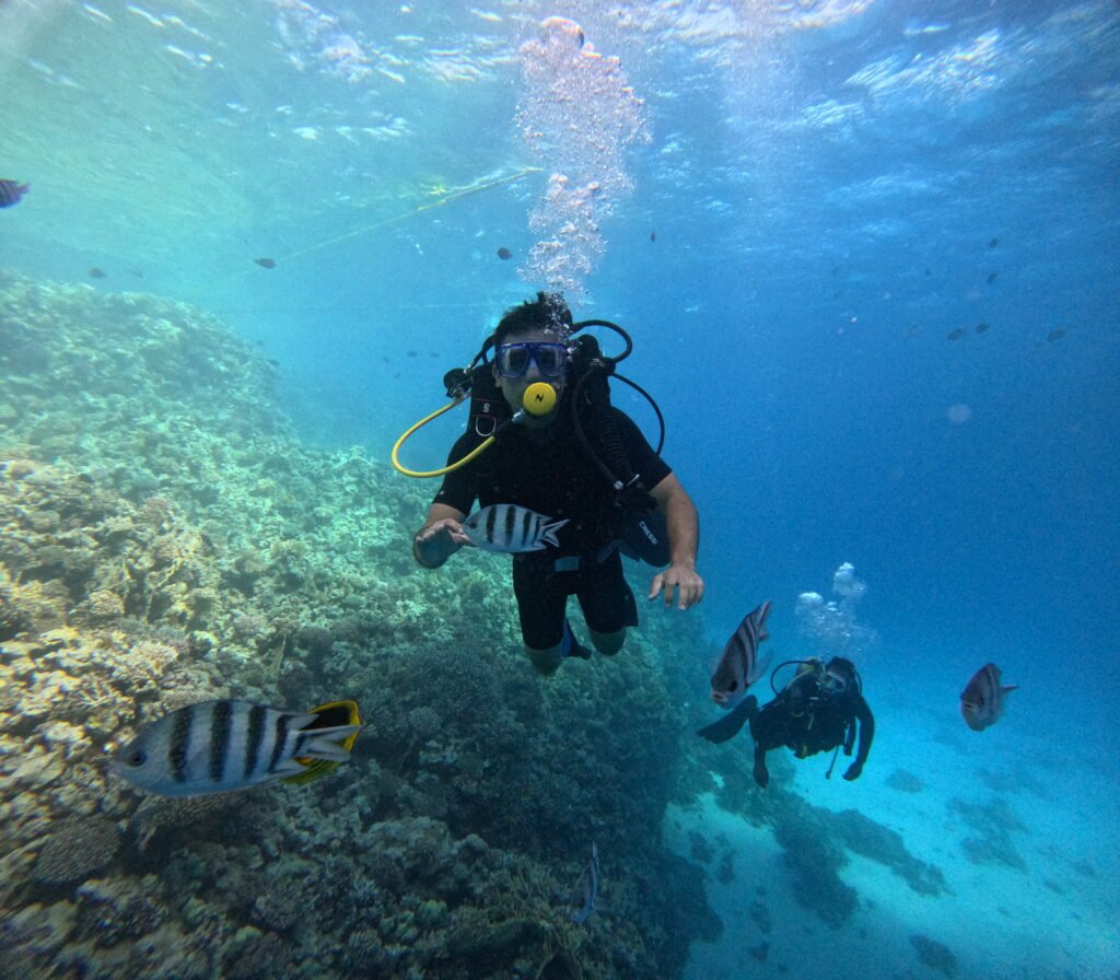 Scuba Diving In The Red Sea