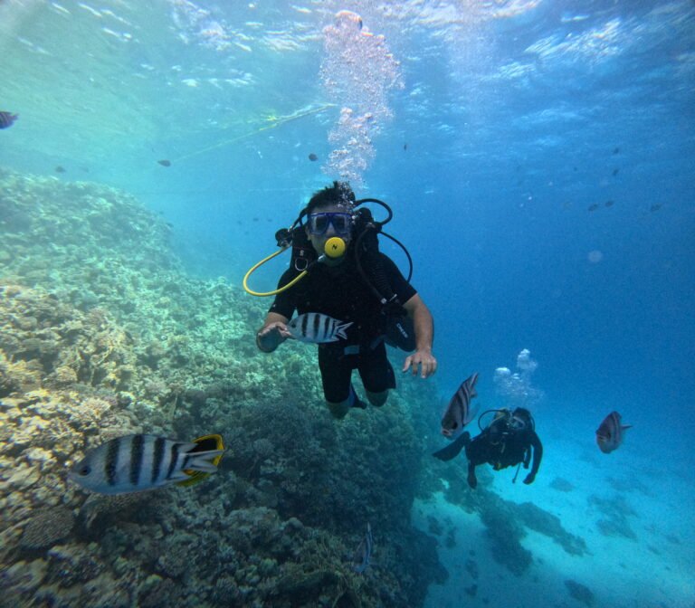 DCIM100GOPROGOPR8238